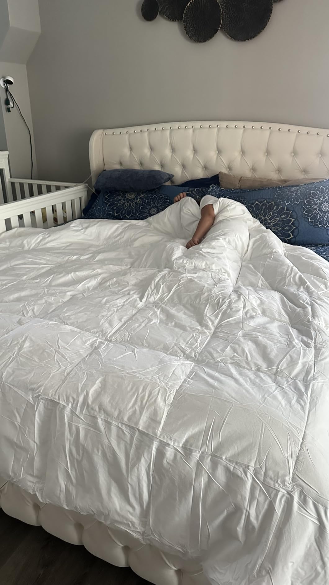 Martha Stewart White Goose King Size Feathers Down Fiber Comforter, 100% Cotton Duvet Insert King, Hotel Luxury Hypoallergenic Comforter All Season Medium Warmth 106 x 90 Inch customer photo 2