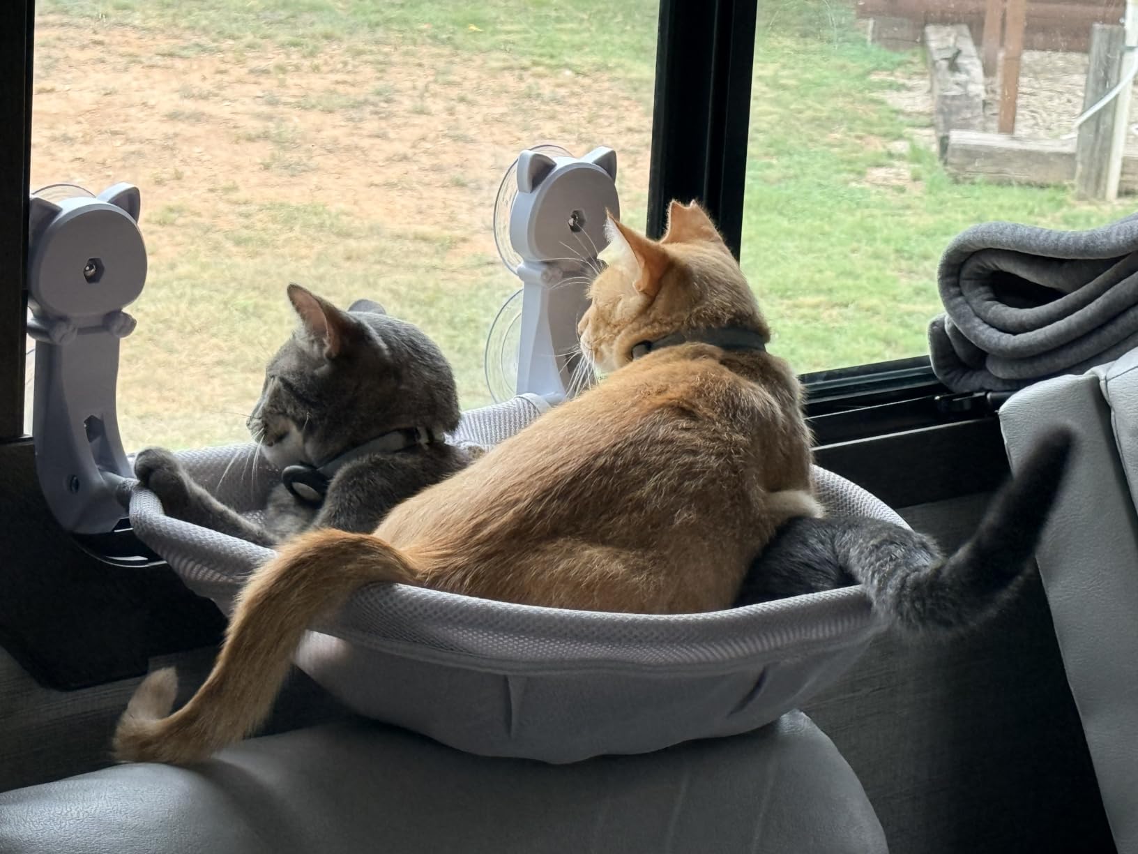 Cat Window Perch Cordless, Foldable & Stable Cat Beds - Breathable Cat Window Hammock for Overlooking, Sunbathing and Climbing - Maximum Hold Up to 40lb customer photo 2