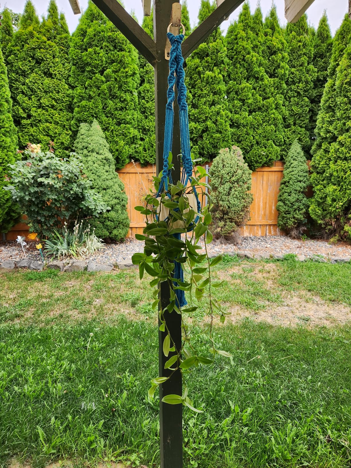 Ewparts Macrame Plant Hanger Kit with Instruction Book & Online Tutorials | Adults Craft DIY Kit With Metal Rings, 4mm Macrame Cord Green/Purple/Orange/Blue Pre-Cutted to Make 4 Macrame Plant Hangers customer photo 2
