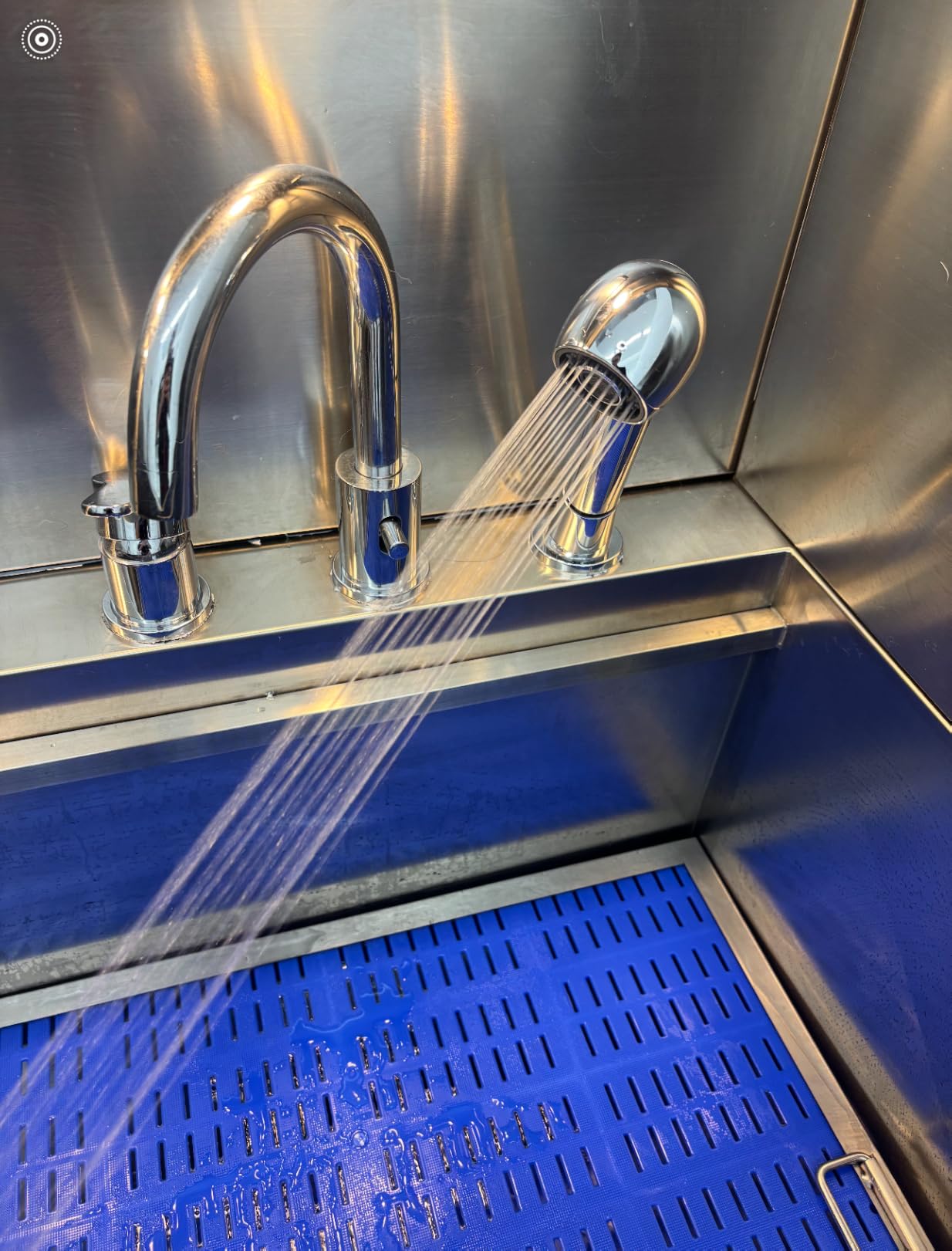 POLIMO Dog Washing Station with LED Display 61