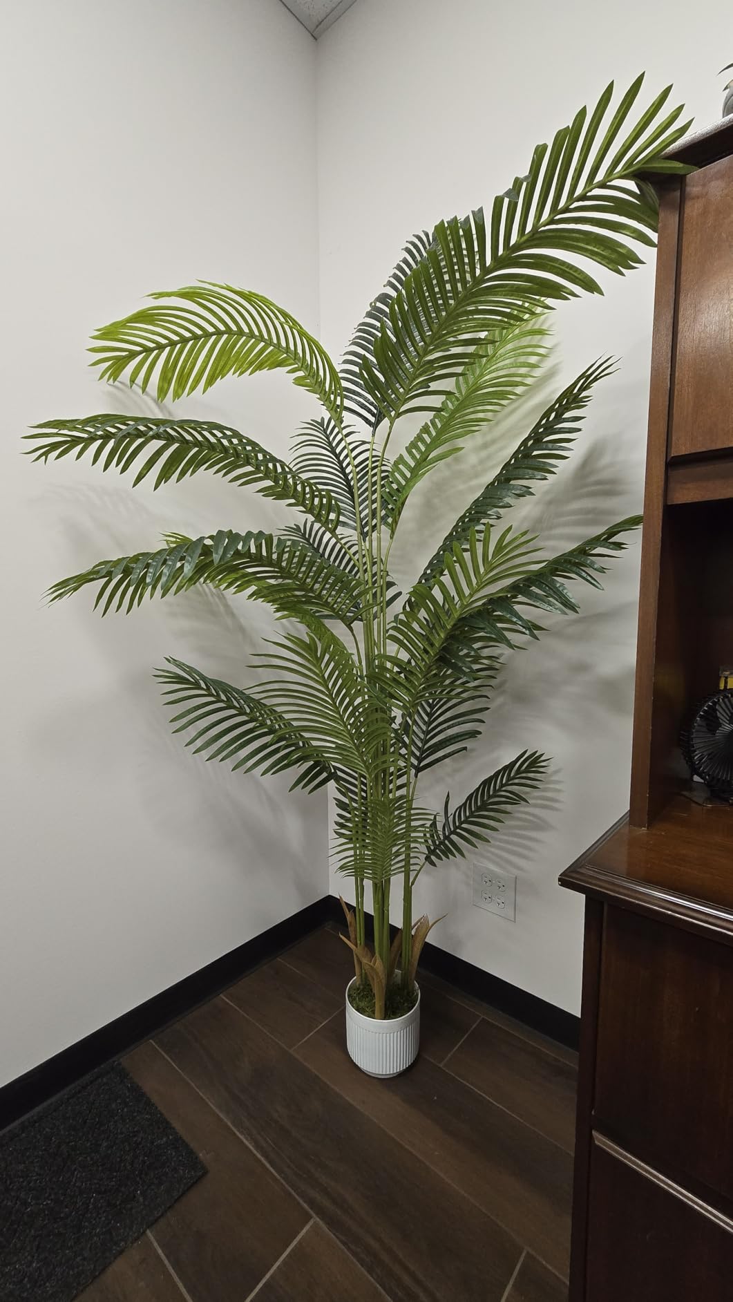 6FT Artificial Palm Tree Indoor with White Pot, Realistic Leaves, 15 Trunks Adjustable Branches, Tall Faux Fake Palm Plant, Ideal for Living Room Bedroom Office Home Interior Aesthetic Decor customer photo 1