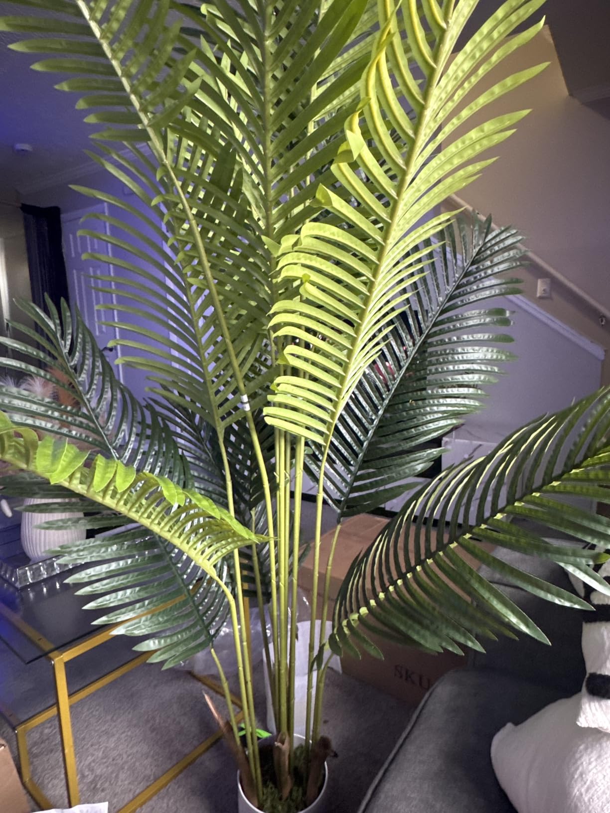 6FT Artificial Palm Tree Indoor with White Pot, Realistic Leaves, 15 Trunks Adjustable Branches, Tall Faux Fake Palm Plant, Ideal for Living Room Bedroom Office Home Interior Aesthetic Decor customer photo 2