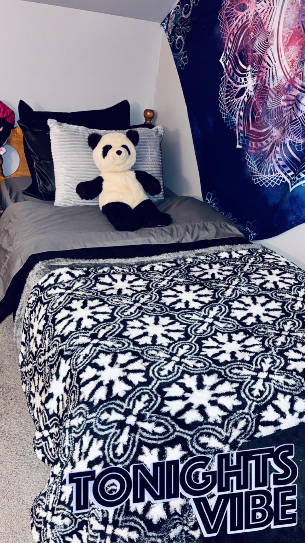 Bare Home Bed-in-A-Bag 7 Piece Comforter & Sheet Set - Queen - Goose Down Alternative - Ultra-Soft 1800 Premium - Bedding Set (Queen, Cypress/Cypress) customer photo 1