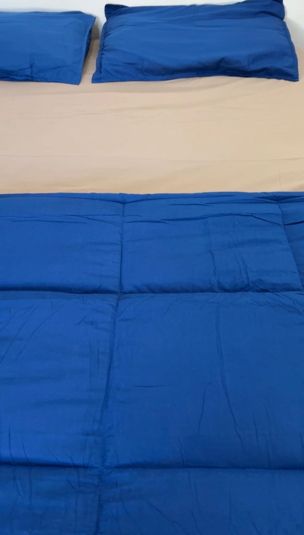 Bare Home Bed-in-A-Bag 7 Piece Comforter & Sheet Set - Queen - Goose Down Alternative - Ultra-Soft 1800 Premium - Bedding Set (Queen, Cypress/Cypress) customer photo 2