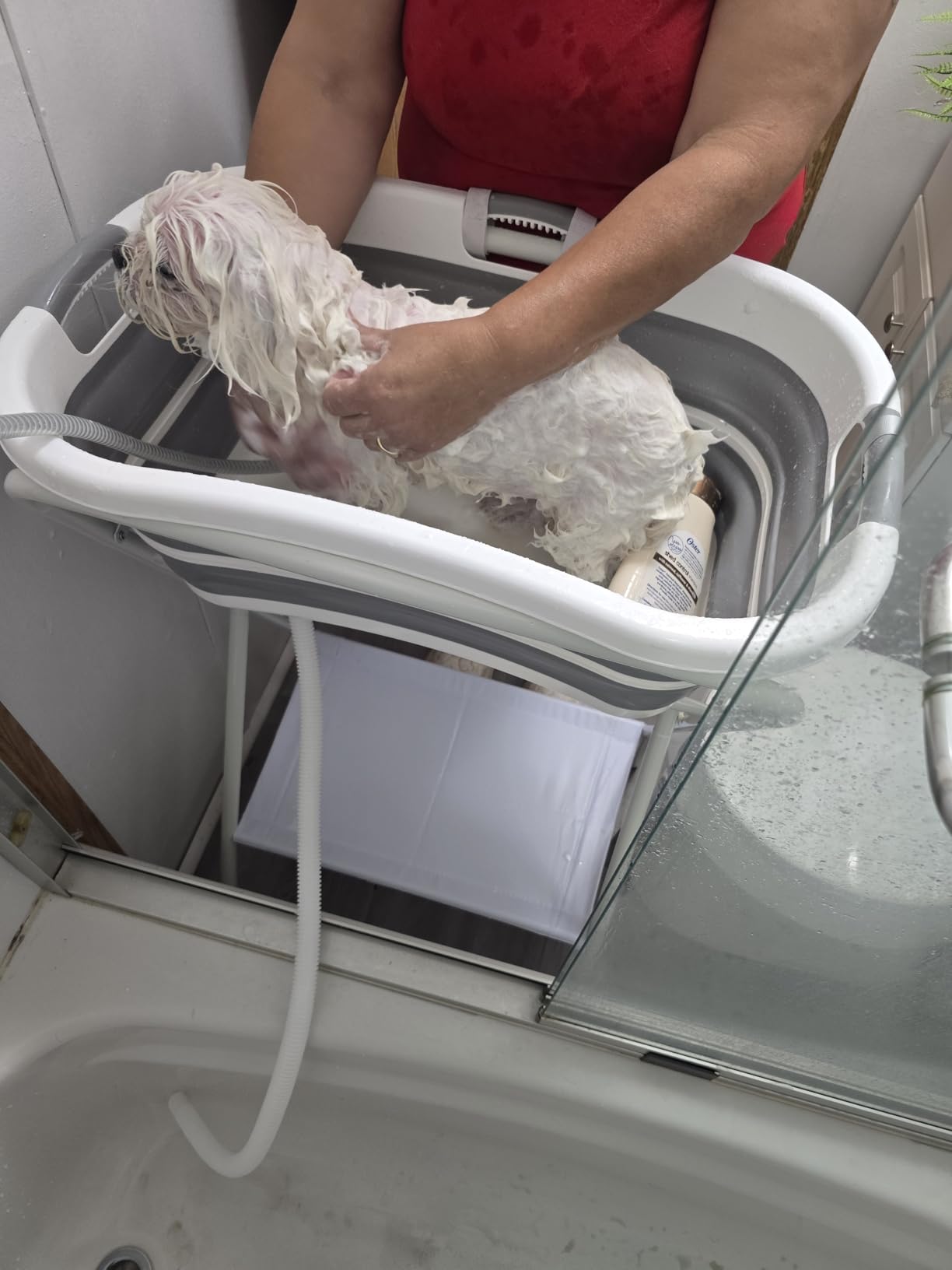 Portable Dog Bath Tub and Dog Washing Station, Collapsible Elevated Pet Tub for Bathing, Showering, Grooming, Pet Bathing Basin for Small to Medium Dogs, Cats and Other Pets (Built-in Drainage System) customer photo 1