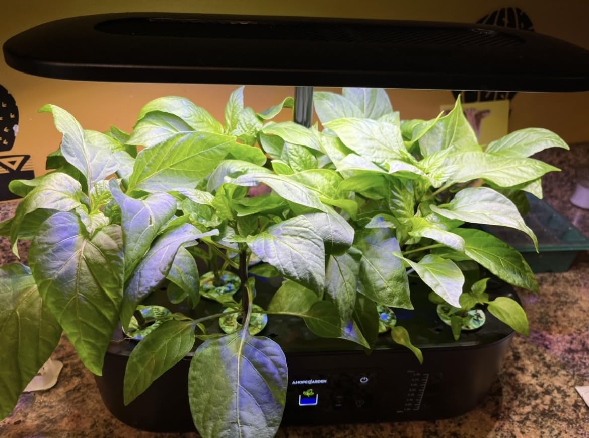 Ahopegarden Hydroponics Growing System Kit: 12 Pods with LCD Control Panel customer photo 1