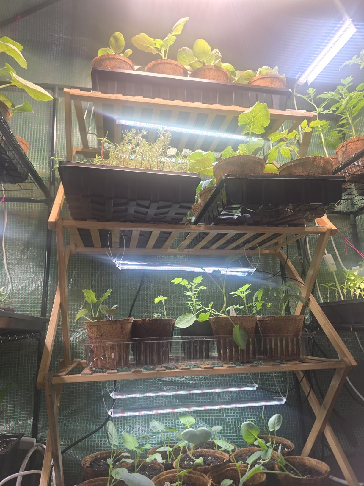 SDOVUERC 16'' 6 Bars Grow Light Strips for Indoor Plants with Auto ON/Off Timer 6/12/18H, 5 Dimmable Levels for Shelves Plant Growing(Pack 1) customer photo 2