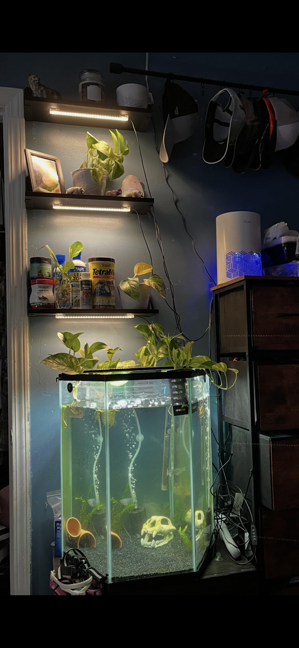 LED Grow Light Strips, Grow Lights for Indoor Plants Full Spectrum 3000K, Plant Light Bar with 3/9/12H Timer, 10 Dimmable Levels for Seedling Succulent, Best Match for Plant Shelf (3 Head x 2 Pack) customer photo 1