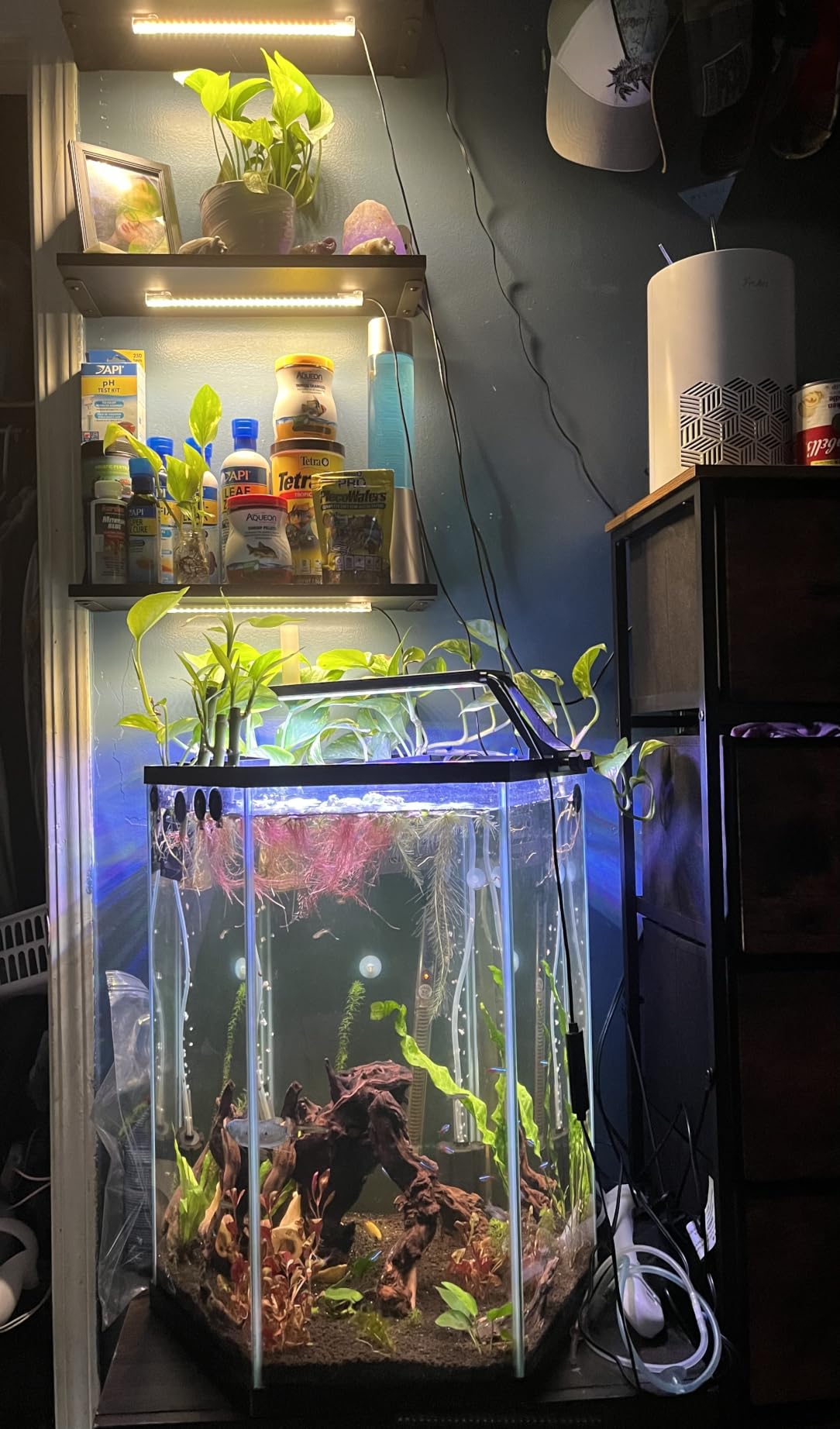 LED Grow Light Strips, Grow Lights for Indoor Plants Full Spectrum 3000K, Plant Light Bar with 3/9/12H Timer, 10 Dimmable Levels for Seedling Succulent, Best Match for Plant Shelf (3 Head x 2 Pack) customer photo 2