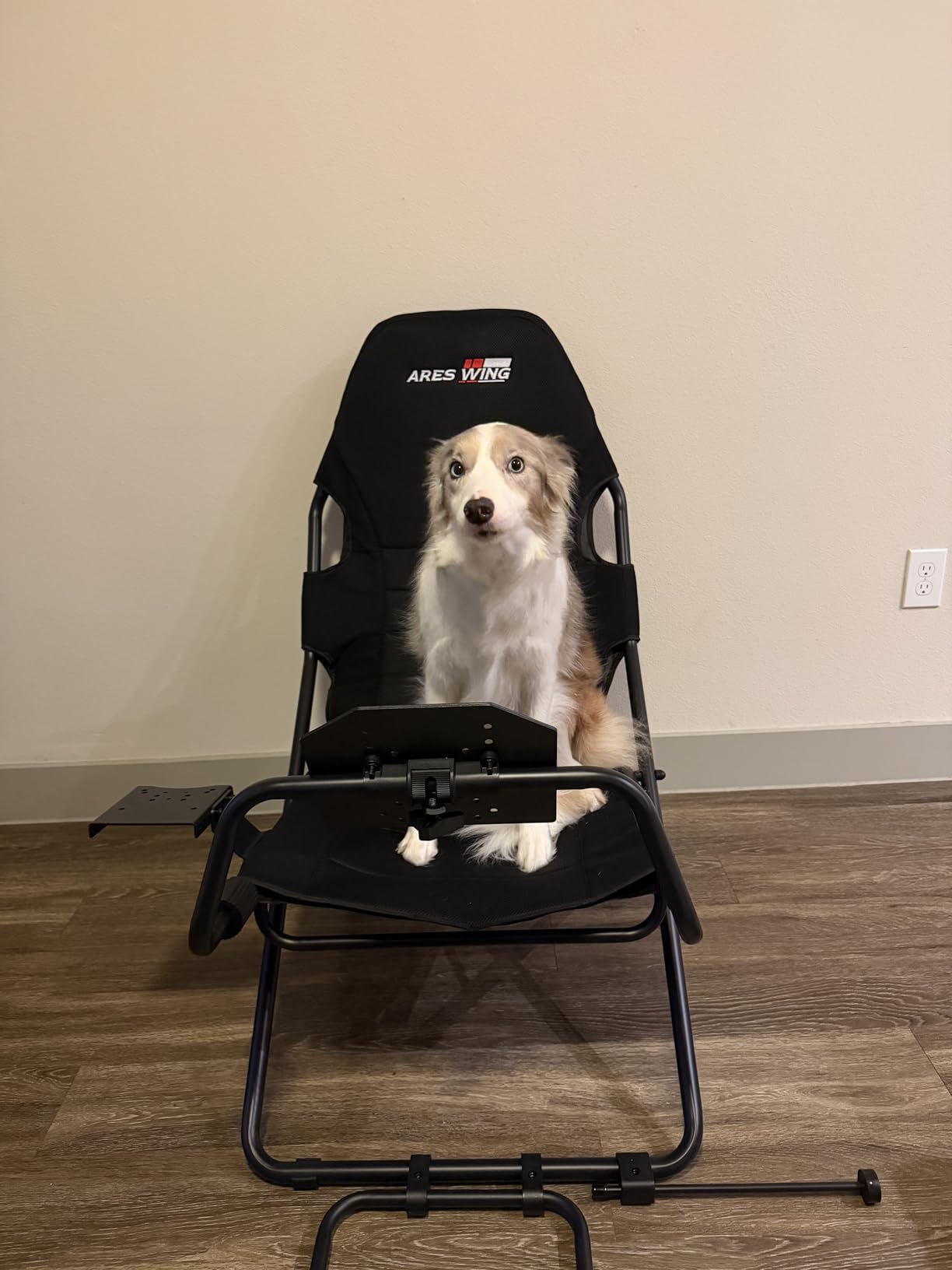 ARES WING Foldable Racing Simulator Cockpit, Racing Wheel Stand with Seat | Space Saving Sim Racing Rig for Small Spaces customer photo 1