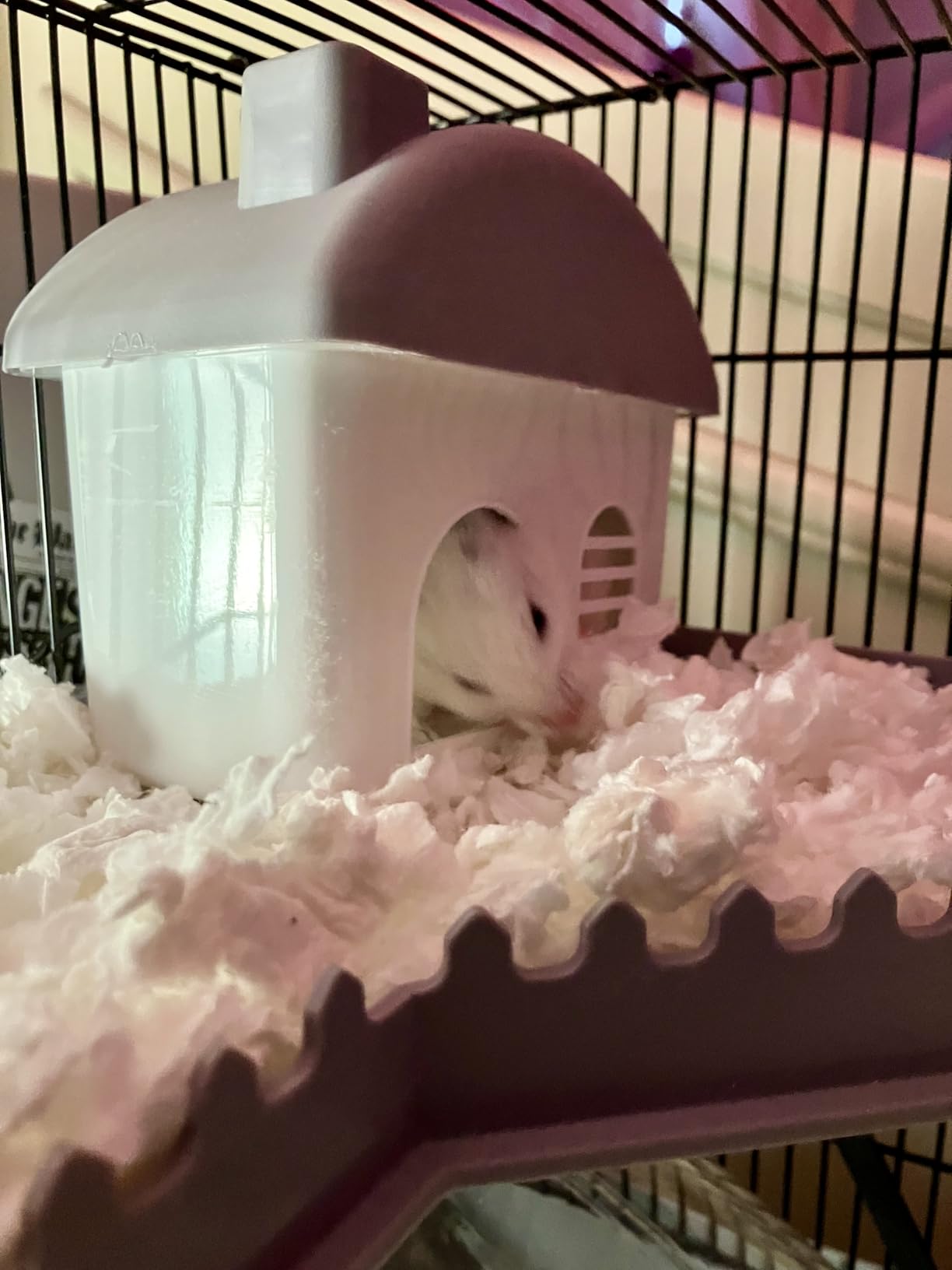 Large Hamster Cage Starter Kit 22x12x15in for Syrian Hamster Dwarf Hamster | with Large Silent Wheel, Large Bathtub, Hide-House, 2 Platforms, 3 Ladders, Water Bottle, Food Bowl, 2 Tube Ports, 2 Handles customer photo 1