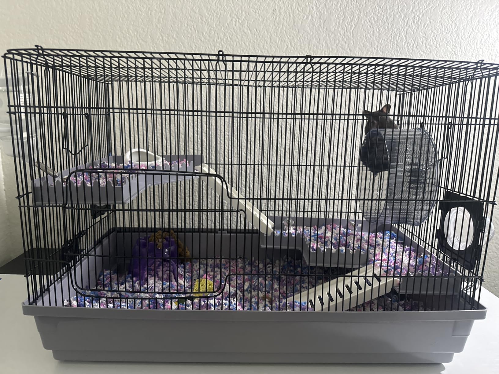 Large Hamster Cage Starter Kit 22x12x15in for Syrian Hamster Dwarf Hamster | with Large Silent Wheel, Large Bathtub, Hide-House, 2 Platforms, 3 Ladders, Water Bottle, Food Bowl, 2 Tube Ports, 2 Handles customer photo 2