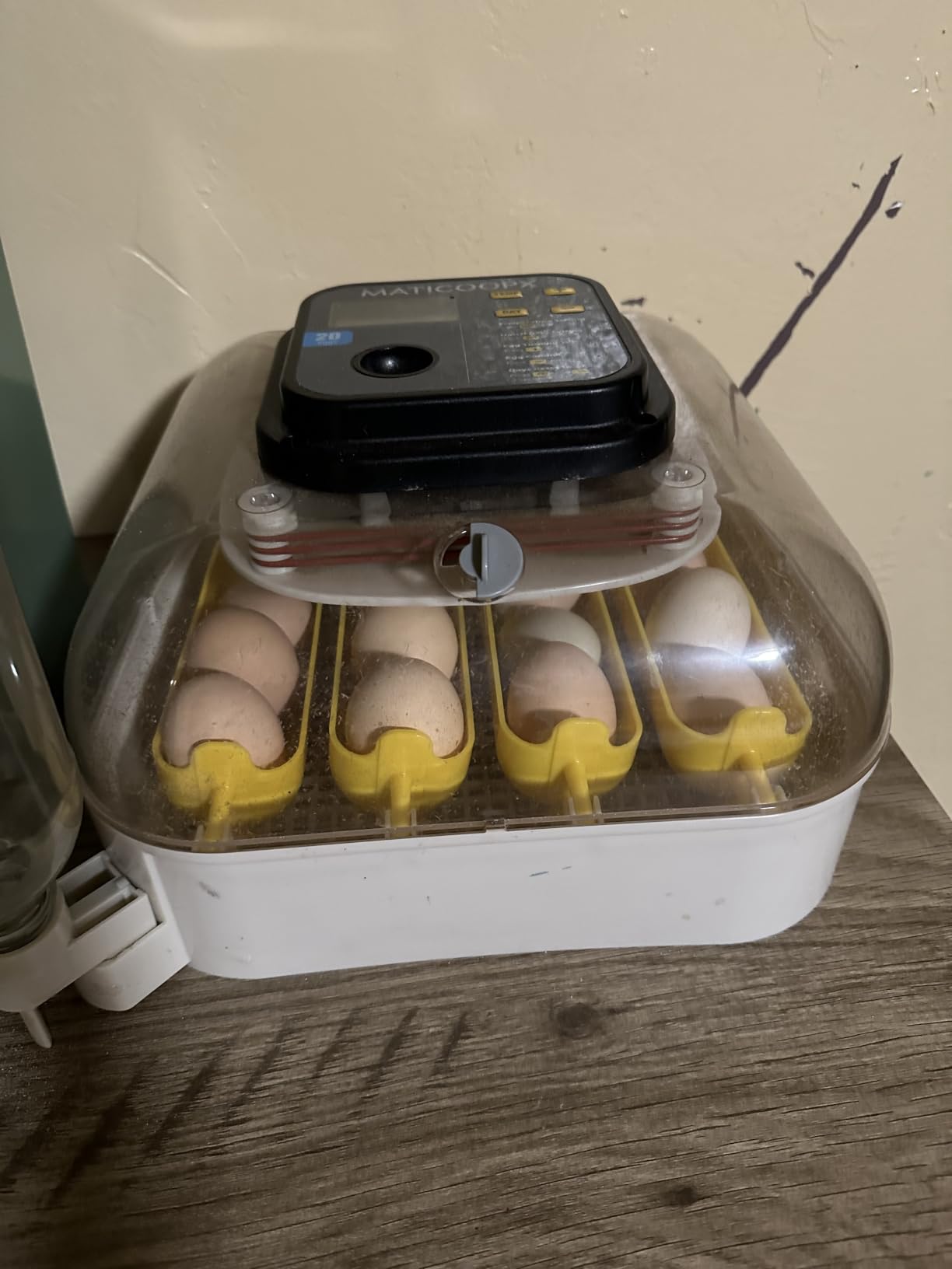 MATICOOPX 20 Egg Incubator with Humidity Display, Egg Candler, Automatic Egg Turner, for Hatching Chickens customer photo 1