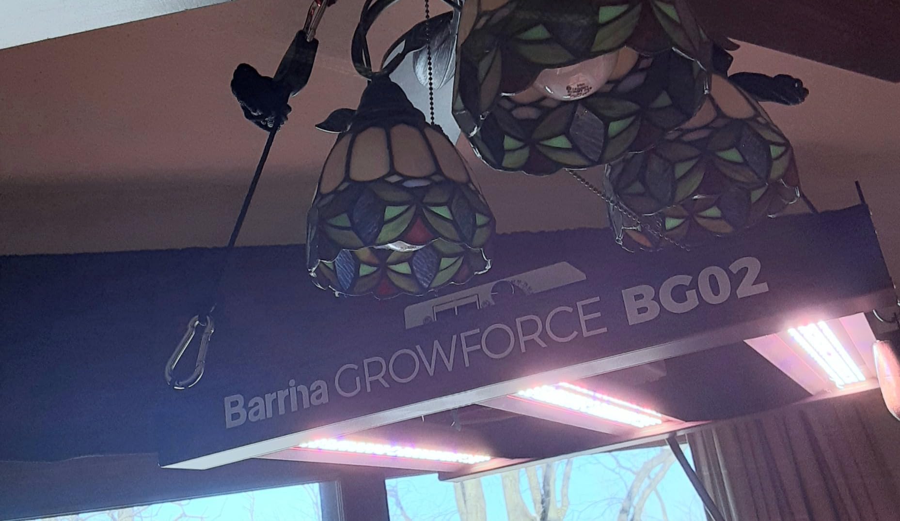 Barrina GrowForce BG02 200W, 3 x 3 Grow Lights for Indoor Plants | Full Spectrum with Dual Blue & FIR, High PPFD, Dimmable, Hanging Grow Lights for Indoor Plants 4 x 4 Coverage, ETL customer photo 2