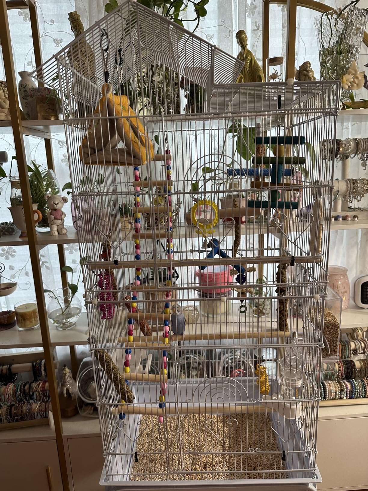 DWVO 62-inch Metal Bird Cage for Cockatiels, Parrots, Pigeons with Roof Access and Rolling Stand customer photo 1
