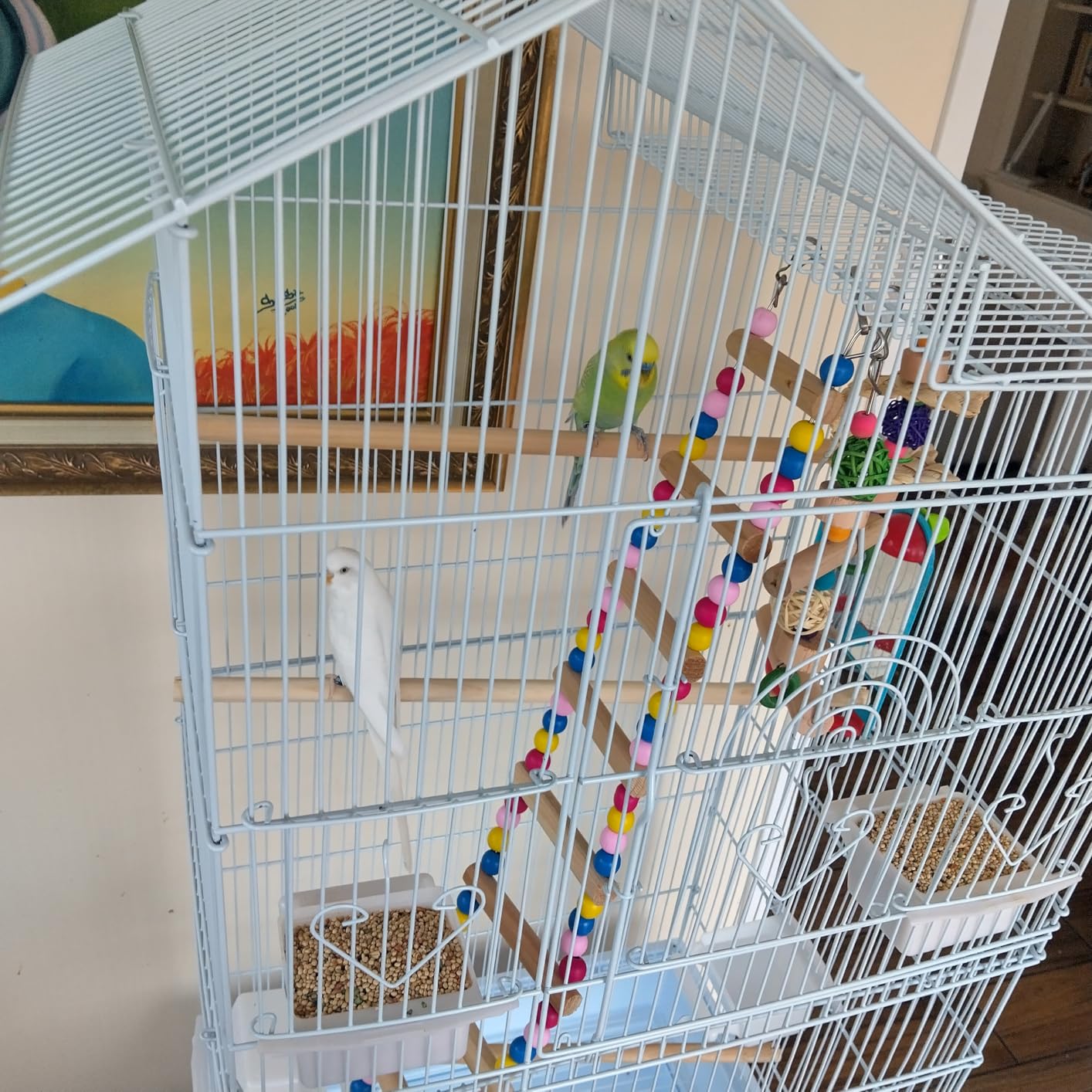DWVO 62-inch Metal Bird Cage for Cockatiels, Parrots, Pigeons with Roof Access and Rolling Stand customer photo 2