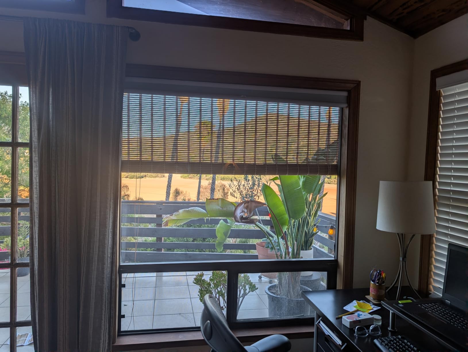 36x72 Inch Bamboo Blinds for Interior Windows, UV Protection Roman Bamboo Curtains, Carbonized customer photo 1