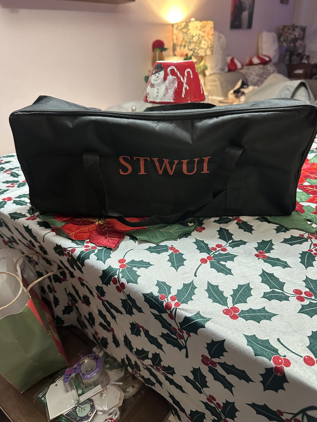 STWUI Outdoor Projector Screen with Stand - 120 Inch Portable Projector Screen Indoor and Outdoor Projector Screens 16:9 4K HD Wrinkle Free Lightweight Movie Screen with Carry Bag,Enioy Movie Nights customer photo 1