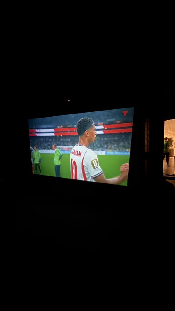 STWUI Outdoor Projector Screen with Stand - 120 Inch Portable Projector Screen Indoor and Outdoor Projector Screens 16:9 4K HD Wrinkle Free Lightweight Movie Screen with Carry Bag,Enioy Movie Nights customer photo 2