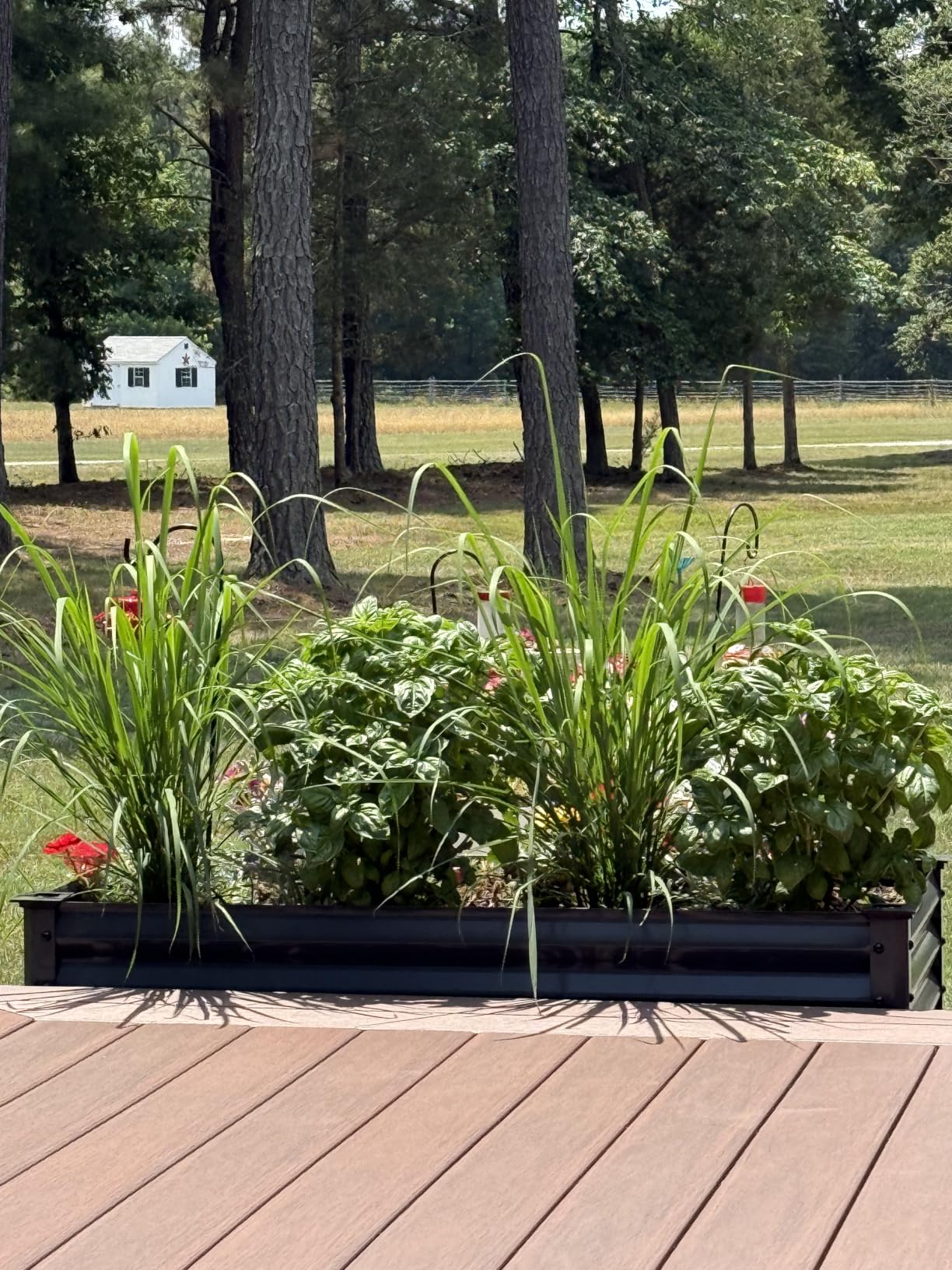 Best Choice Products 48x24x30in Galvanized Raised Garden Bed, Metal Elevated Planter Box, Vegetable Garden for Backyard, Patio, Balcony, 100% Non Toxic Materials - Charcoal customer photo 2