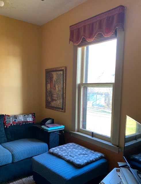 100% Blackout Cordless Bamboo Roman Shades 34x64 in Papara Carbon | Upgrade Backing Fabric, UV Protection, Protecting Privacy, room darkening customer photo 1