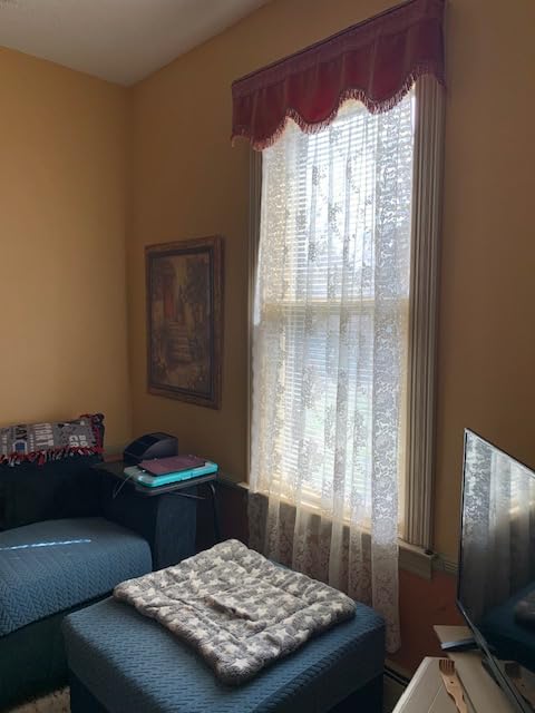 100% Blackout Cordless Bamboo Roman Shades 34x64 in Papara Carbon | Upgrade Backing Fabric, UV Protection, Protecting Privacy, room darkening customer photo 2