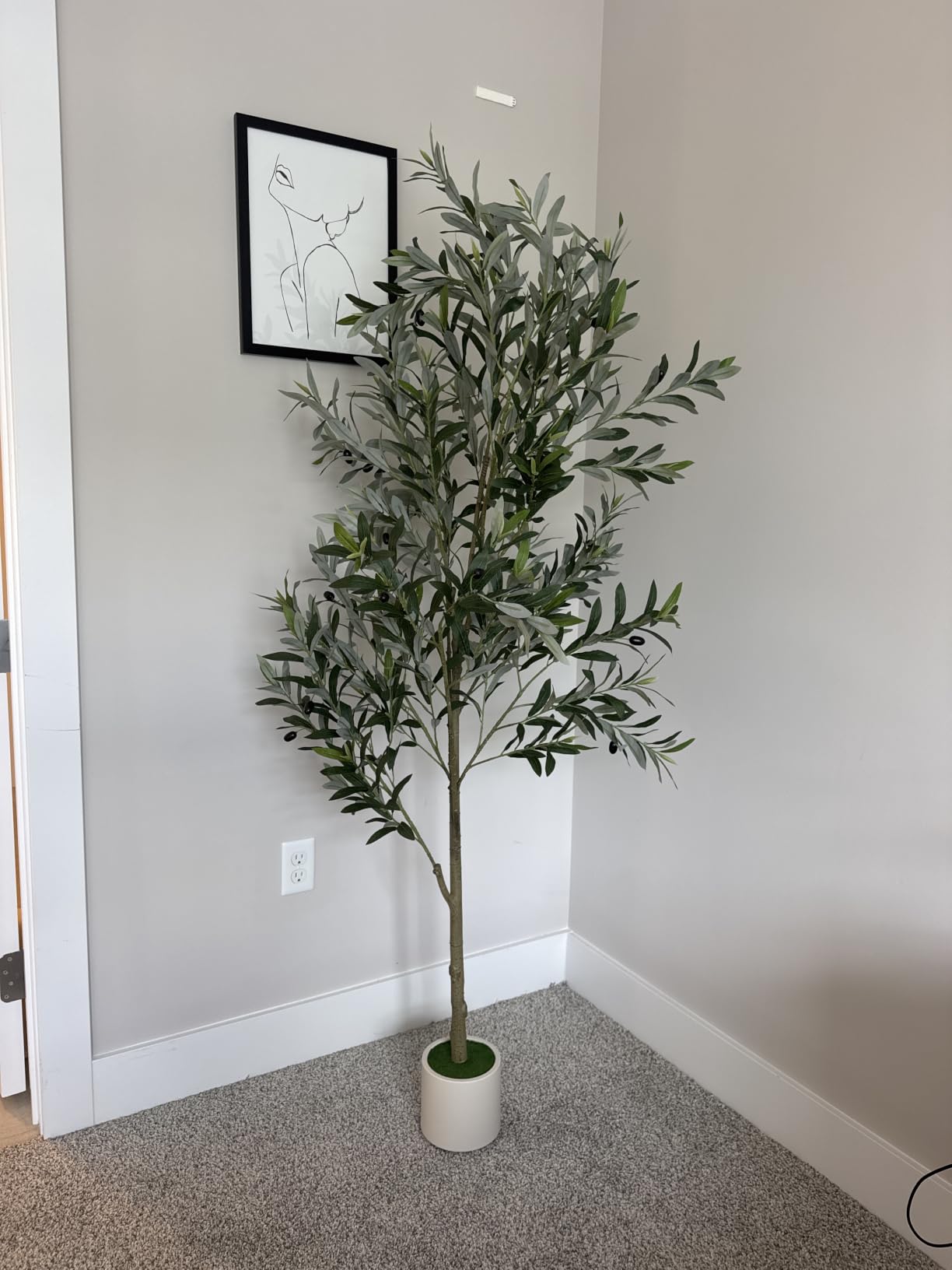 Alupssuc 6FT Artificial Olive Trees, Faux Silk Plant with Lively Artificial Trunk and Lifelike Fruits, Indoor Fake Potted Tree with White Planter for Modern Home Office Living Room Decor customer photo 1