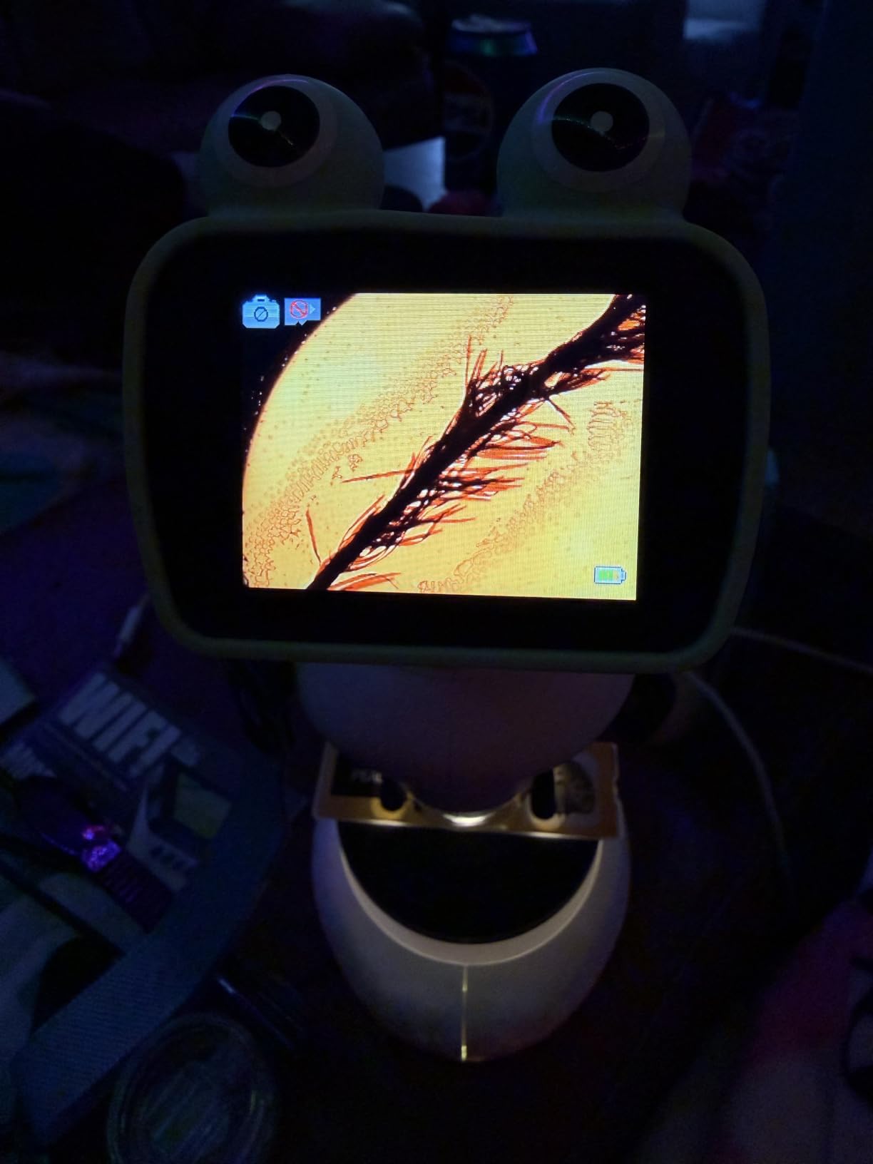 Microscope for Kids with 12 Slides, 200X-1000X, 2.4