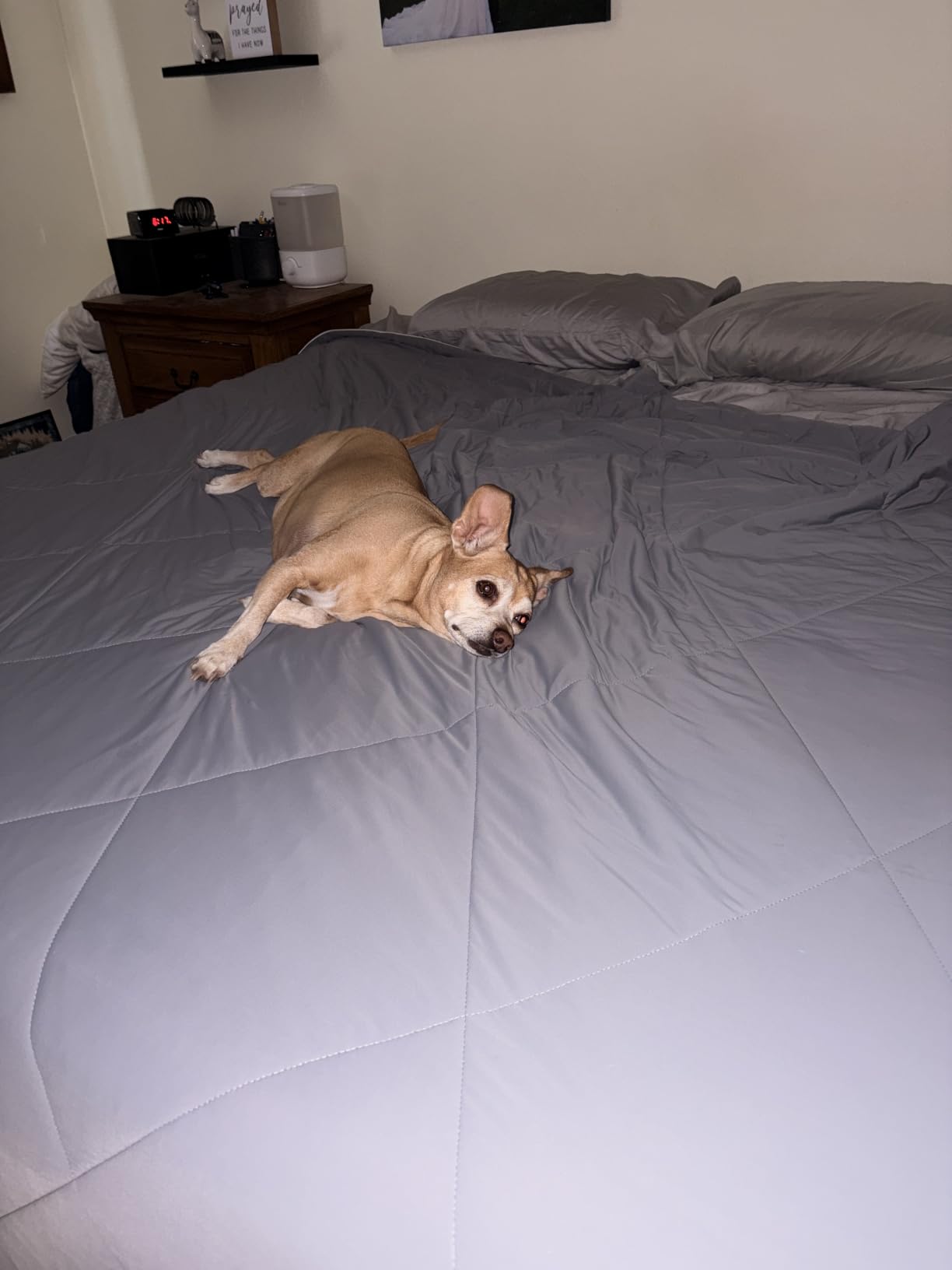 Cooling Comforter - BreezeWeave Cooling Blanket Queen Size for Hot Sleepers & Deep Rest - Cloud Soft, Breathable, Ultra Durable, Easy Care, Reversible - 90 x 90 in (Light Grey & Dark Grey) customer photo 2