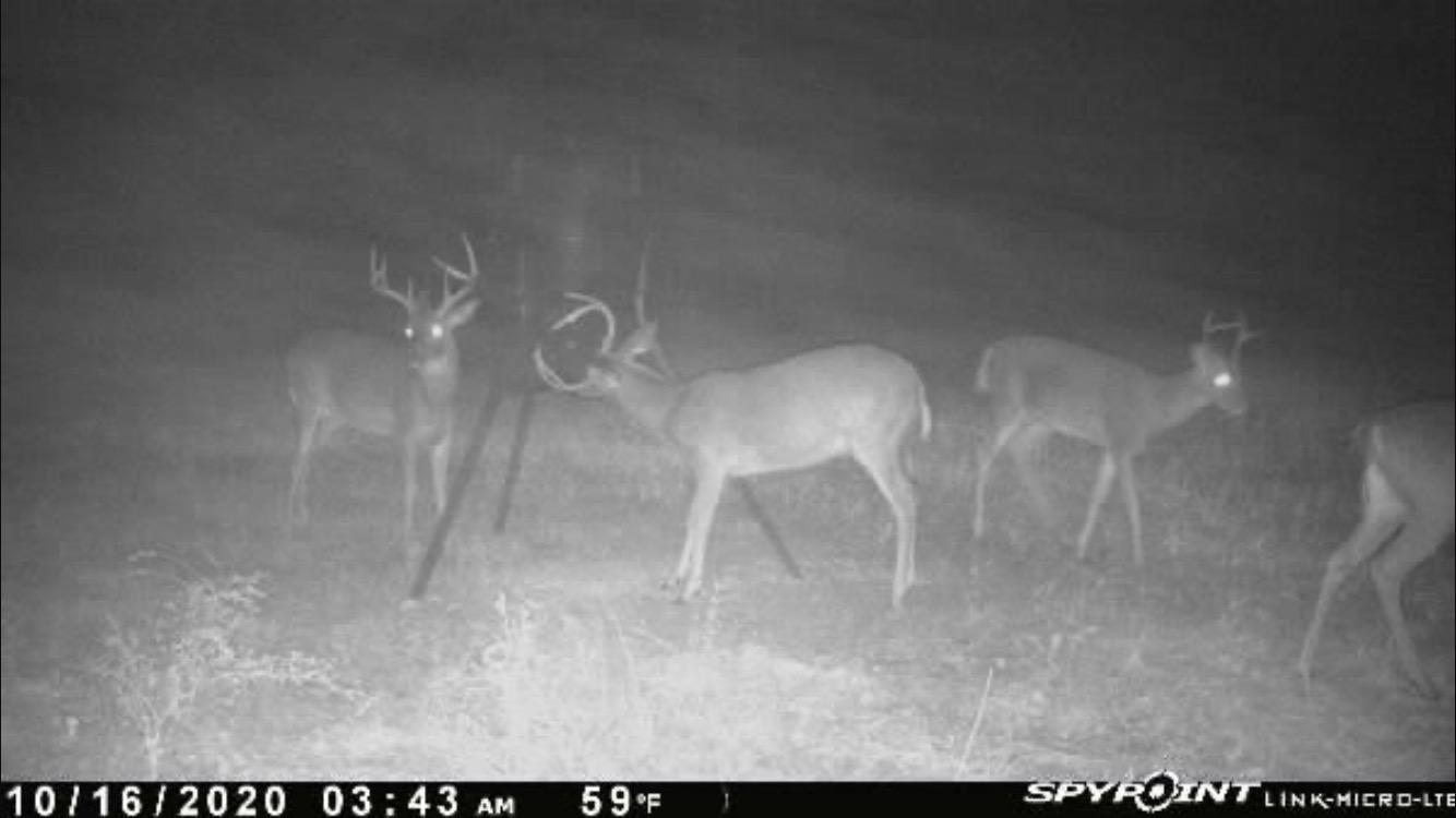 Moultrie Gravity Deer Feeder - Tripod Game Feeder - Easy Conversion Adapter - Protein Pellet Ready - No-Power Setup customer photo 1