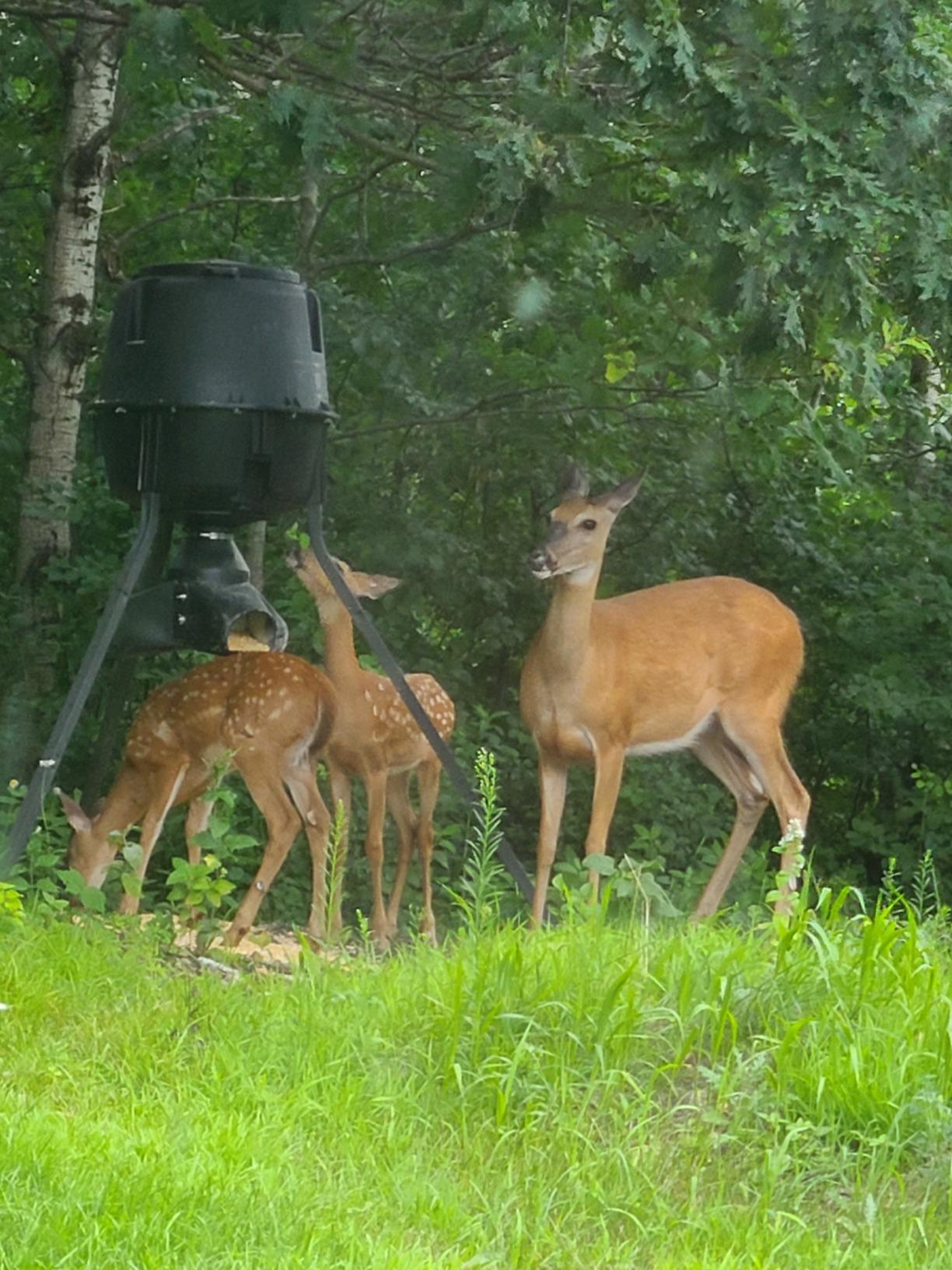 Moultrie Gravity Deer Feeder - Tripod Game Feeder - Easy Conversion Adapter - Protein Pellet Ready - No-Power Setup customer photo 2