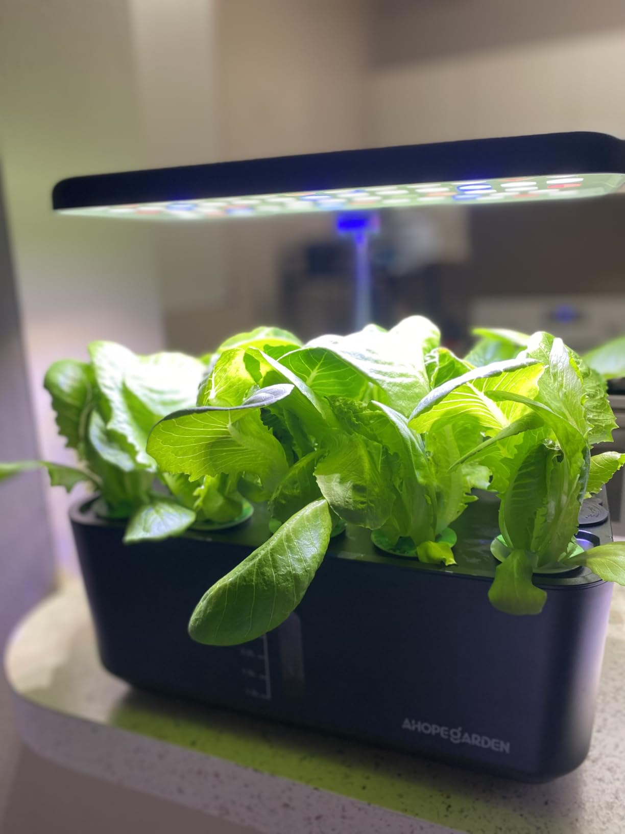 Indoor Garden Hydroponics Growing System: 10 Pods Kit with LED | Plant Germination Kit Herb Vegetable Growth Lamp Countertop Hydroponic Planter Harvest Lettuce for Healthy-Living Enthusiasts customer photo 1