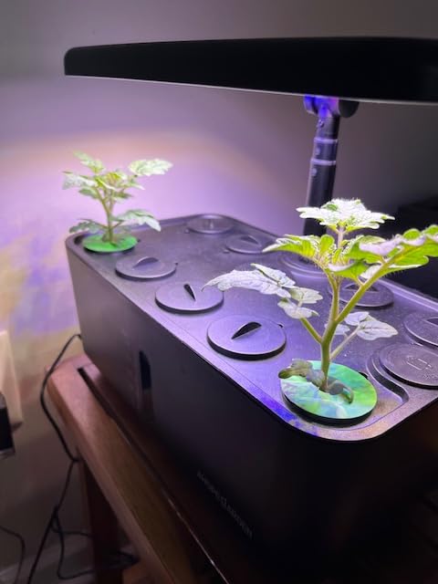 Indoor Garden Hydroponics Growing System: 10 Pods Kit with LED | Plant Germination Kit Herb Vegetable Growth Lamp Countertop Hydroponic Planter Harvest Lettuce for Healthy-Living Enthusiasts customer photo 2