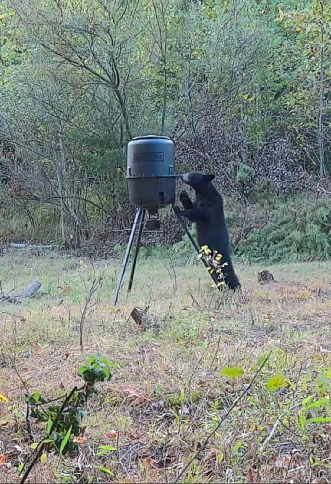 Moultrie 250 Lb Pro Hunter III Tripod Feeder - Bluetooth App Control | 10 daily feed times, large 250 lb capacity, solar ready customer photo 2