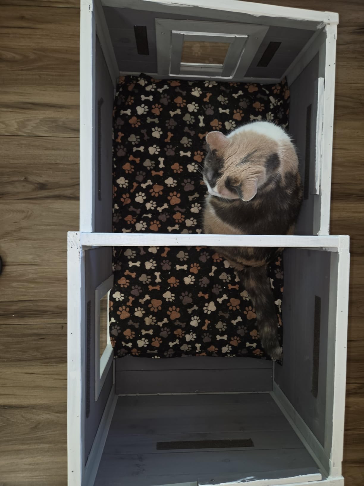 GUTINNEEN Heated Cat House Outdoor Cat House Insulated Large Weatherproof Feral Cat Shelter with Heated Pad, Insulated All-Round Thermal Liner, Chewproof Cable for 1-4 Cats (Winter-Ready) customer photo 1