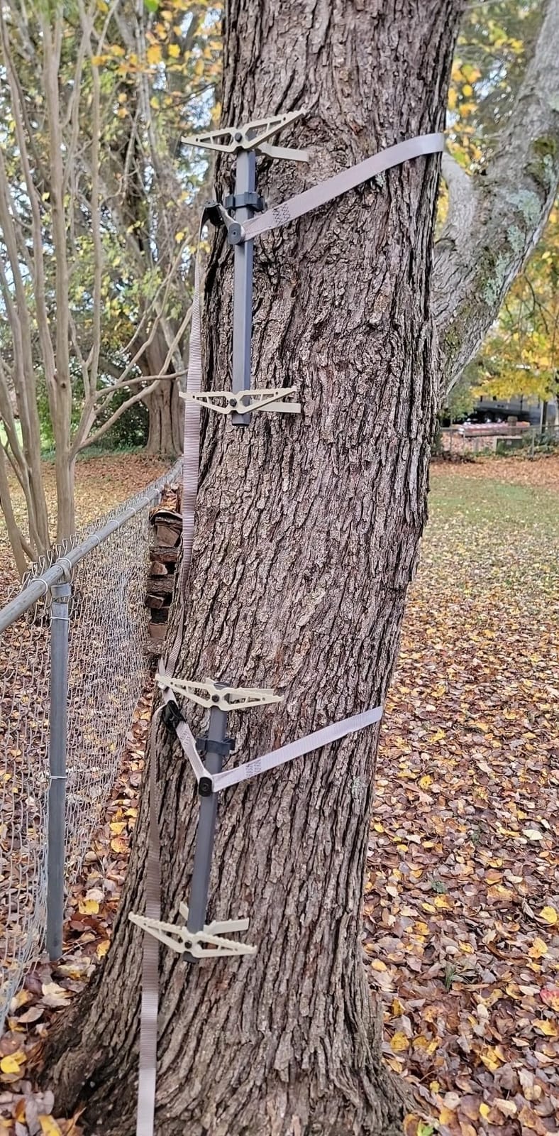 XOP- X2 Hunting Climbing Steps - Double Step Climbing Sticks for Hunting customer photo 2