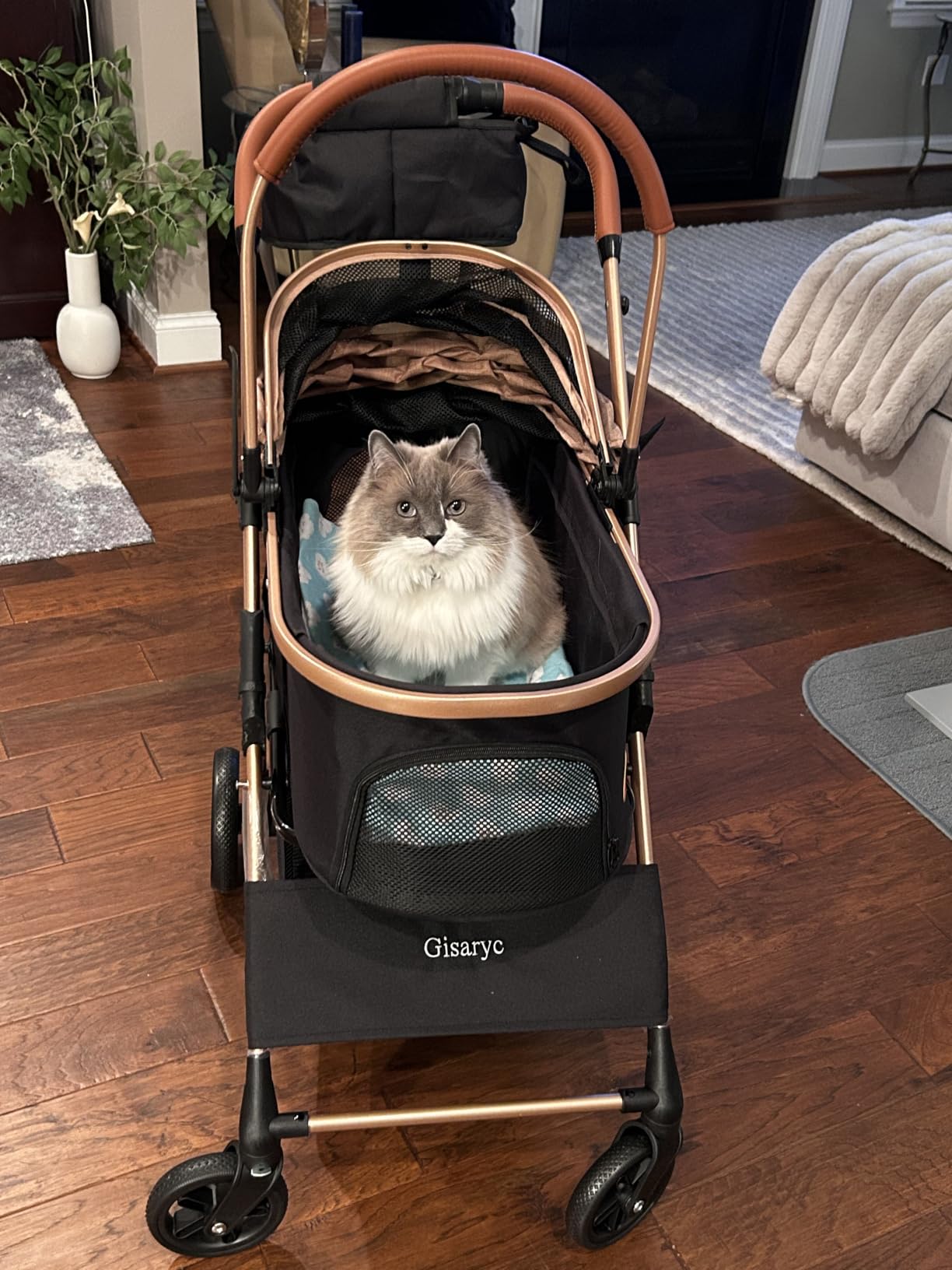 Dog Cat Stroller for Small/Medium Pets, 50 lbs, 3-in-1 Pet Stroller, Black | Foldable Pet Stroller w/Detachable Carrier, Car Seat, Storage Basket, Cup Holder, Hanging Bag, Rain Cover, All-Terrain Wheels customer photo 1