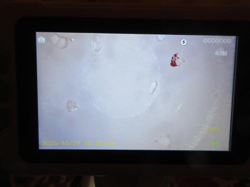 1600X Microscope for Kids, 1080P 4.0