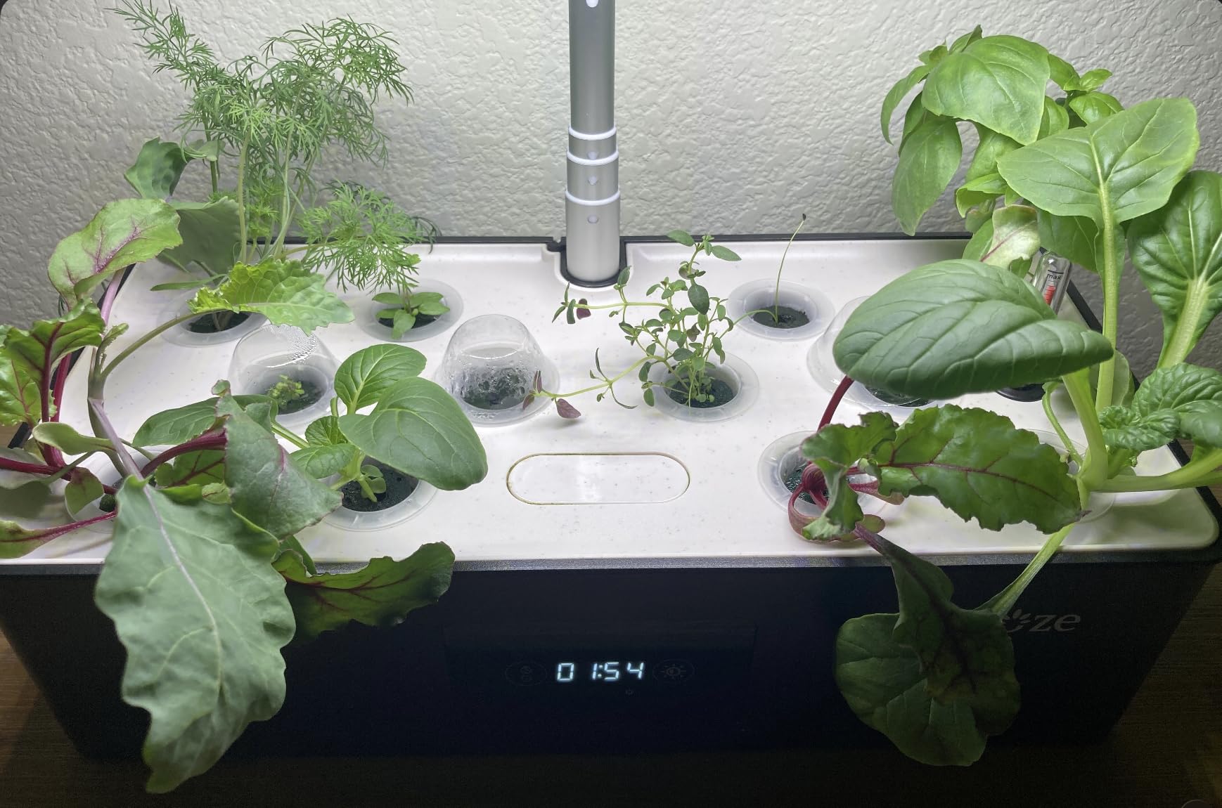Hydroponics Growing System Kit with 24W Dimmable LED Light, Black | 12 Pods Indoor Herb Garden with Timer & Local Time Setting, Adjustable Height, Smart Countertop Garden for Home & Kitchen customer photo 1