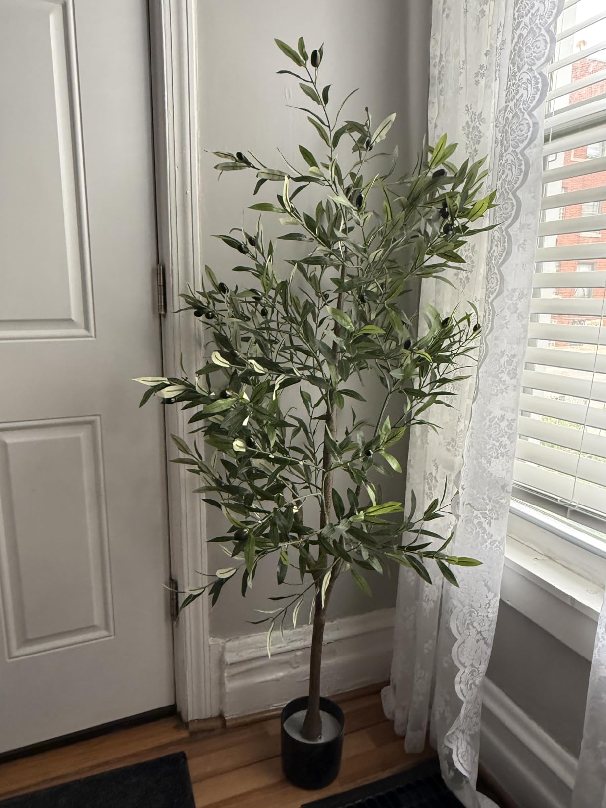 Alupssuc 6ft Olive Tree Artificial Indoor, Fake Tree Potted Faux Olive Trees with Lifelike Fruits and Realistic Leaves, Artificial Plants Indoor Fake Plants for Modern Home Office Living Room Decor customer photo 1