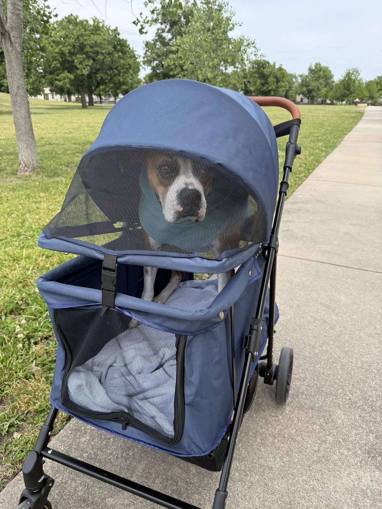 Dog Stroller for Large & Medium Dogs (Up to 66lbs), Pet Stroller for 2 Small Dogs with Adjustable Handle & Canopy, Sun Shades, Storage Organizer, Foldable & Ventilated,Black customer photo 2