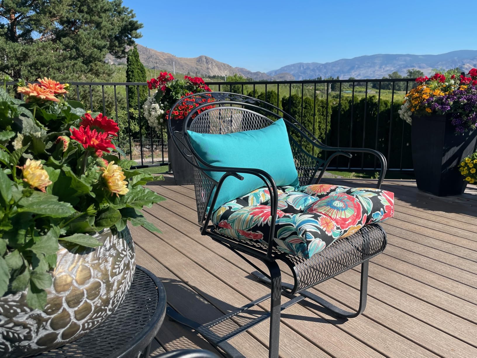 Indoor Outdoor Set of 4 Throw Pillows - 2 Square 17x17 & 2 Lumbar 20x12 customer photo 1