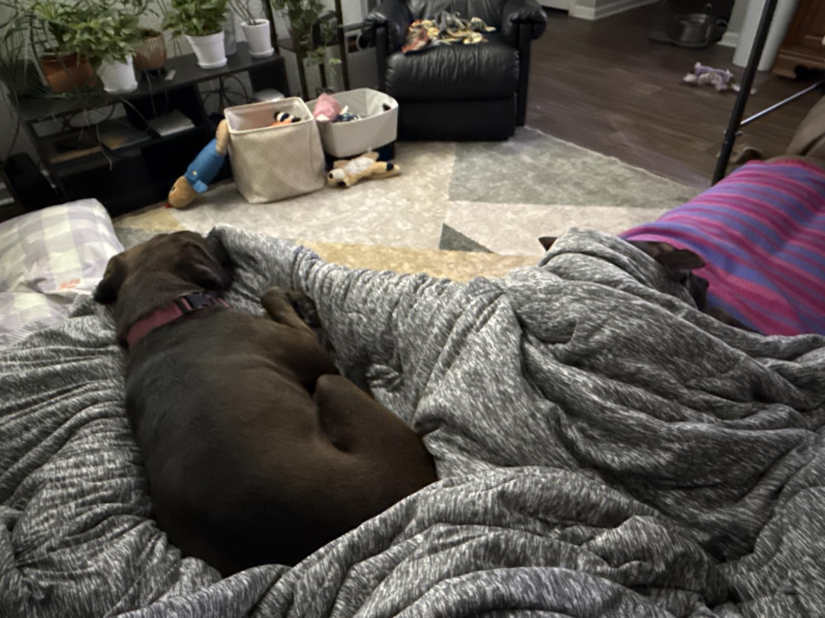 Snuggle Sac Cooling Comforter Queen Size - Q-Max 0.43 Striped Cooling Blanket for Hot Sleepers & Night Sweats, Light Breathable Summer Blanket, Dual-Sided Silk-Smooth, 90x90 Inches, Haze Blue customer photo 2