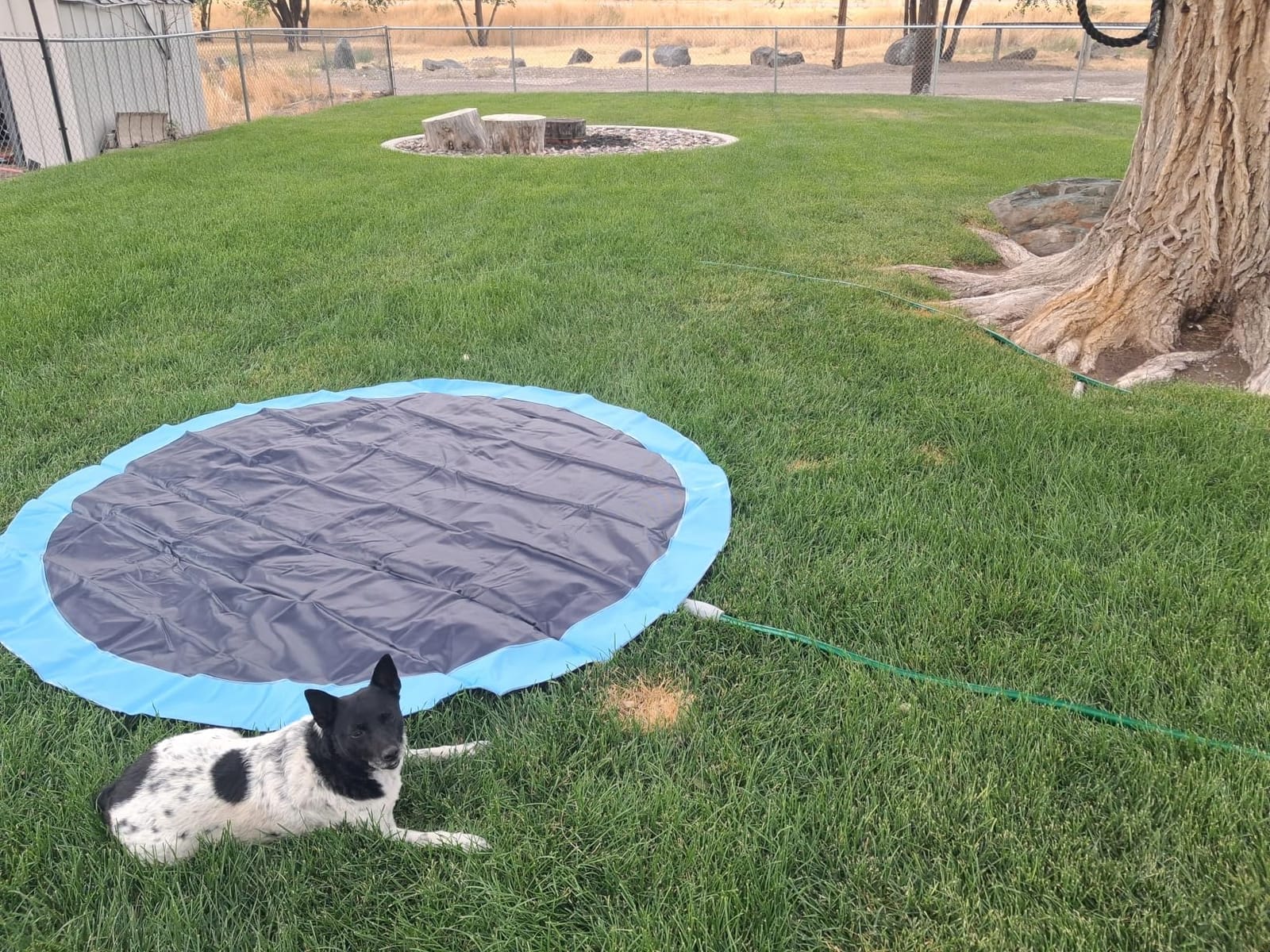 Non Slip Splash Pad for Kids and Dogs, 80