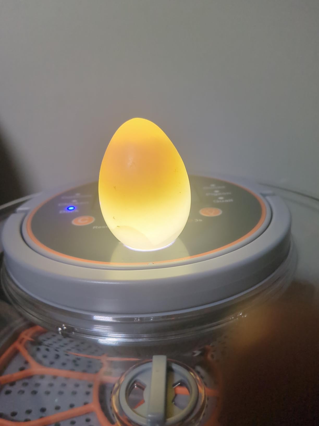 12 Egg Incubators for Hatching Eggs for Home, Classroom and Lab | Incubator for Chicken Eggs, Duck, Goose, Quail, Snake, Egg Incubator with Automatic Egg Turning and Humidity Control customer photo 2