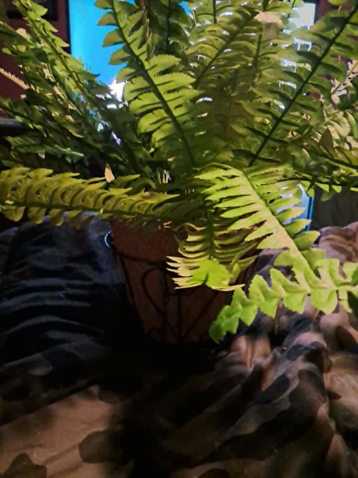 2 Set Artificial Hanging Ferns for Outdoors with Hanging Baskets, UV Resistant Artificial Outdoor Plants, Faux Ferns Outdoor Hanging Basket for Front Porch Garden customer photo 2