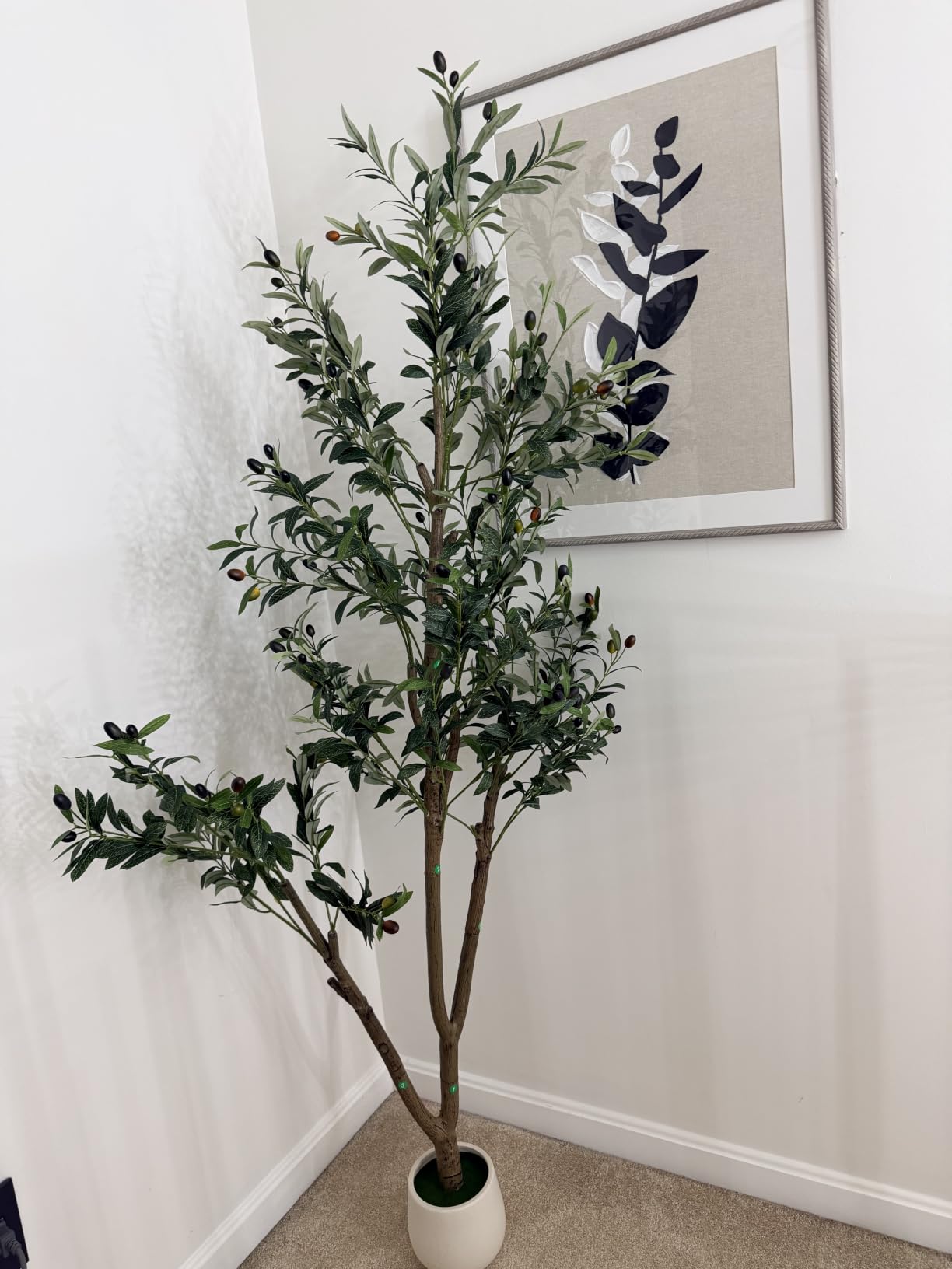 6FT Artificial Olive Tree Indoor with Lights & Planter, Realistic Faux Olive Trees with Lifelike Fruits for Living Room Decor, Tall Fake Silk Plants for Modern Home Office customer photo 1