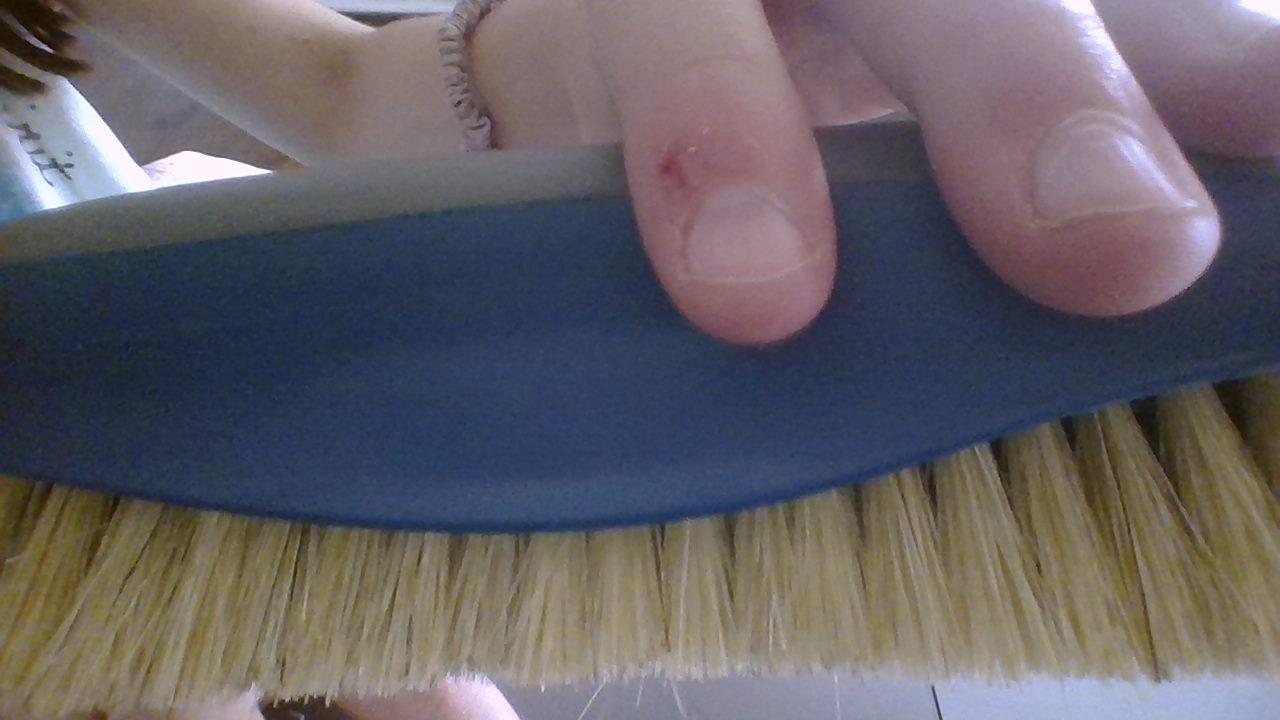 Oster Equine Care Series Horse Grooming Brush, Stiff Bristle, Blue (078399-100-001) customer photo 1