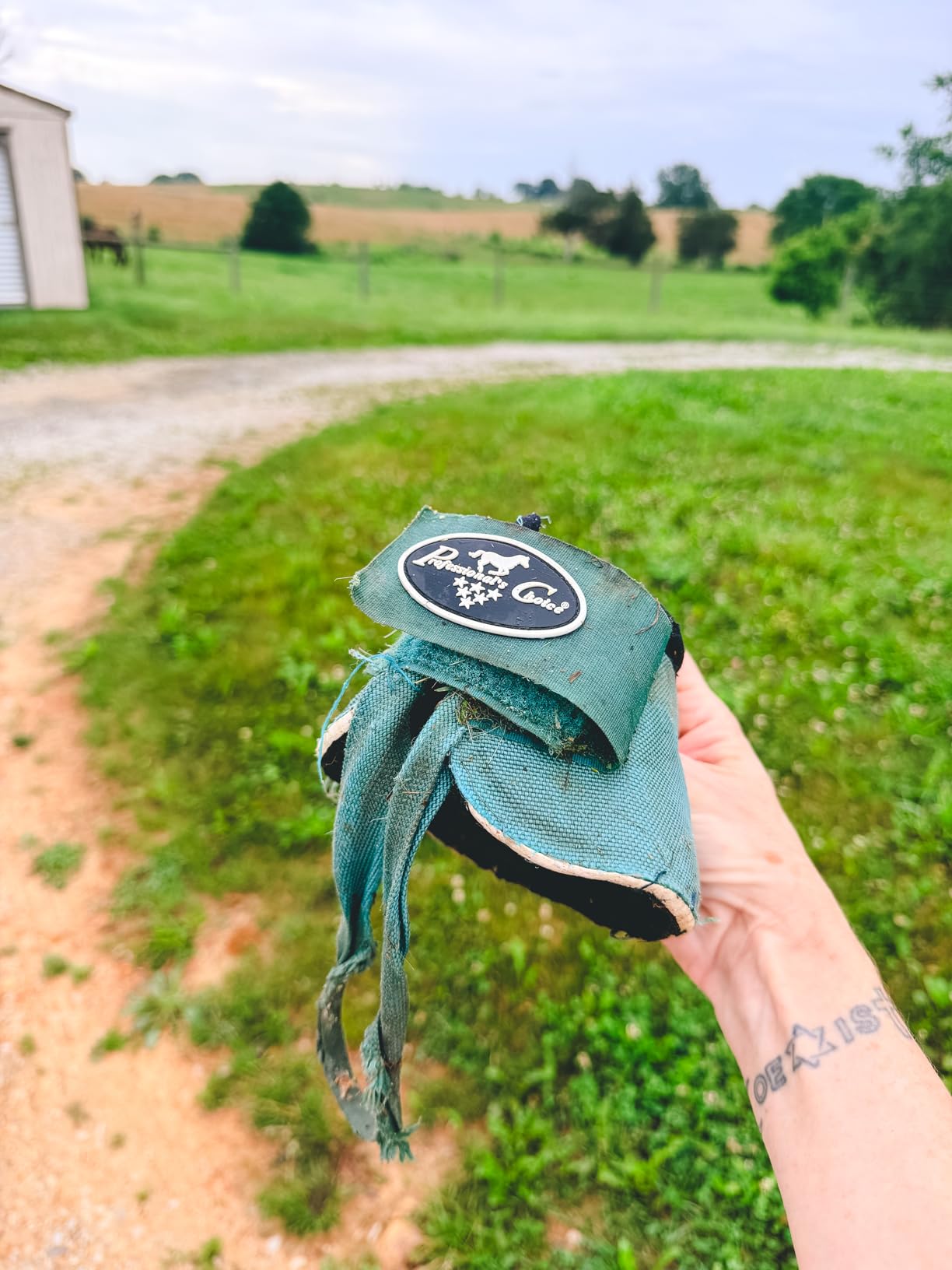 Professionals Choice Equine Ballistic Hoof Overreach Bell Boot, Pair customer photo 2
