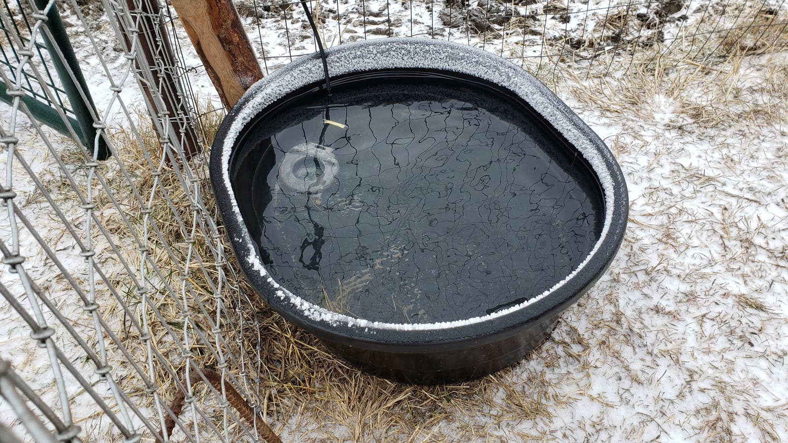 Farm Innovators Submersible Stock Tank De-Icer, 500W Livestock Heater customer photo 1